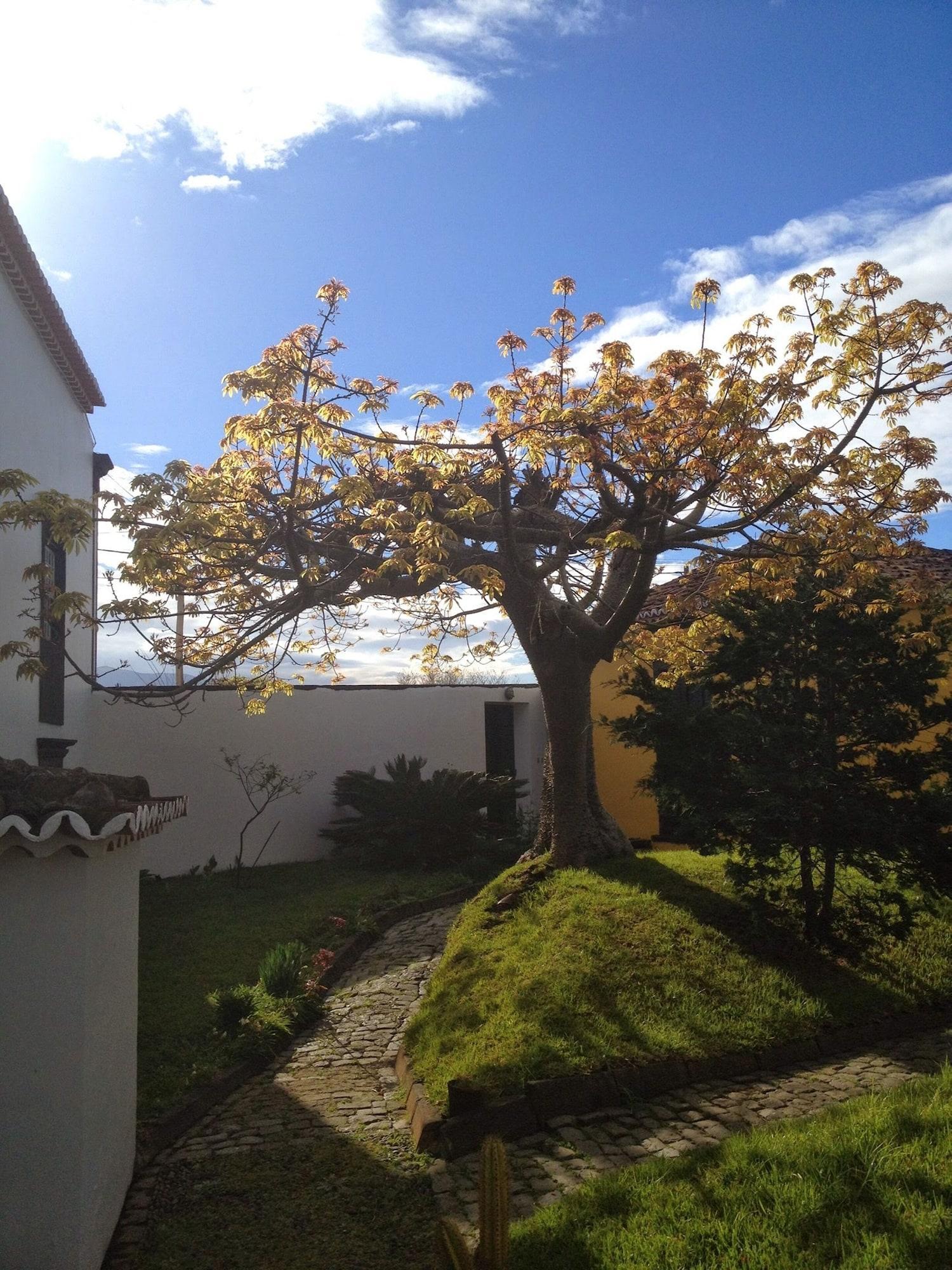 Casa Das Calhetas - Turismo De Habitacao Eksteriør billede